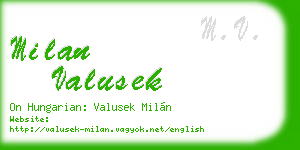 milan valusek business card